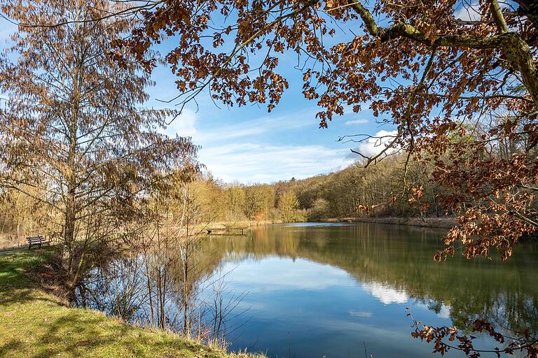Blick auf den Baldersheimer Weiher. Blick auf den Baldersheimer Weiher. 