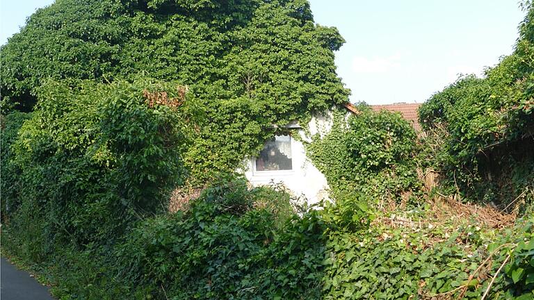 Der bauliche Zustand des von Efeu überwucherten Wohnhauses in der Geisgasse soll beobachtet werden.