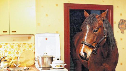 Reittier in der Küche: Der Kinderfilm &bdquo;Ein Pferd auf dem Balkon&ldquo; glänzt mit fantasievollen Ideen.