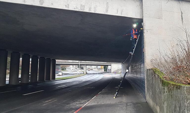 Knapp 500 Taubeneier haben Tierschützer wie Axel Kröner bisher in Schweinfurt eingesammelt, vor allem an wilden Brutplätzen wie an der Unterführung zwischen Hahnenhügelbrücke und Landwehrstraße. Knapp 500 Taubeneier haben Tierschützer wie Axel Kröner bisher in Schweinfurt eingesammelt, vor allem an wilden Brutplätzen wie an der Unterführung zwischen Hahnenhügelbrücke und Landwehrstraße.