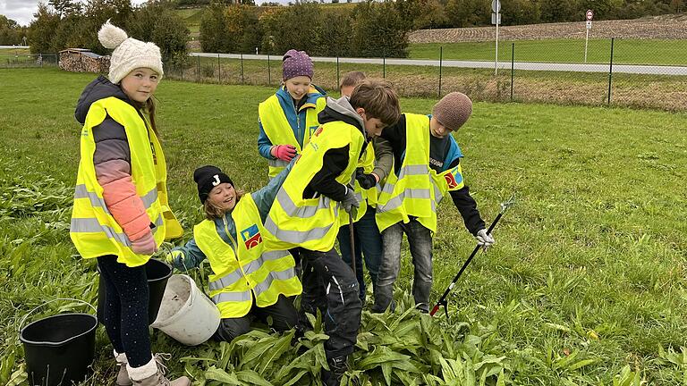 Einige Kinder der Klasse 4a vergleichen ihre Fundstücke nahe der B8.