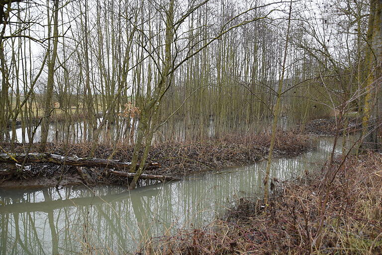Der aufgestaute Kützberger Bach hat bei Euerbach eine Seenlandschaft geschaffen. Der aufgestaute Kützberger Bach hat bei Euerbach eine Seenlandschaft geschaffen.