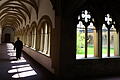 Franziskanerkloster Würzburg.jpeg       -  Ein Schatten lastet nun auf der Ordensgemeinschaft. Im Bild: Der Kreuzgang des Klosters in Würzburg.