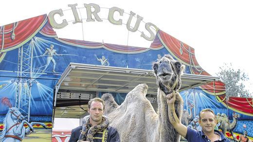 Manege frei: Bis Montag sind Artist Chris Krämer, Schlange Helga, Riesenkamel Iwan, Clown Charly Blum und weitere Zirkusstars zu Gast in Mainstockheim.