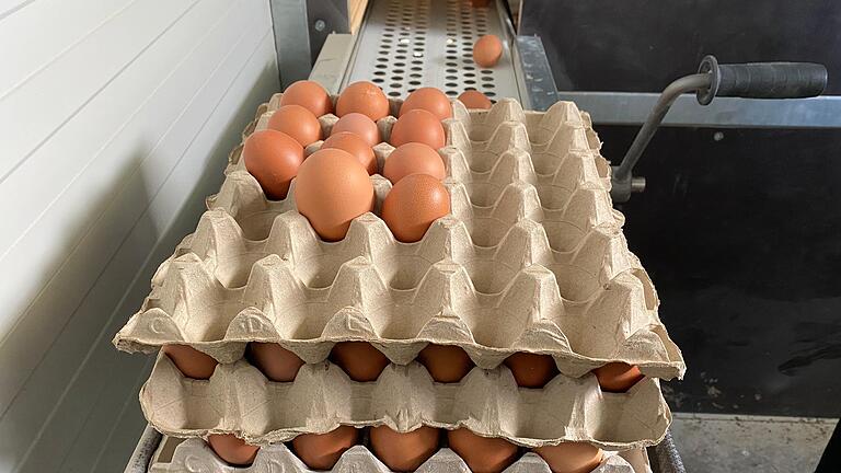 Beim Biohof Preising werden die Eier mit der Handkurbel von den Legeplätzen der Hennen zur Sammelstation befördert und von Hand in Kartons gesetzt. Egal ob groß oder klein, in den Verkauf kommt jedes Ei.