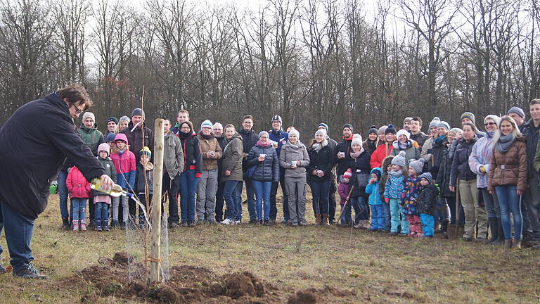 Bürgermeisterin Karin Fries gießt einen Baum mit Tauberrettersheimer Wein damit er wächst und gedeiht.