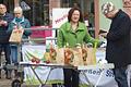 Auch das gehört zum Martini-Markt im Herbst: Der Bund Naturschutz verkauft Bio - Äpfel am Marktplatz in Marktheidenfeld.
