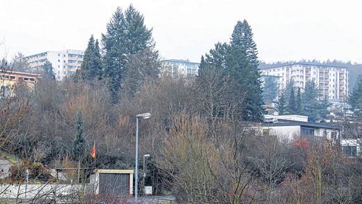 Rodung kann beginnen: Der Bauausschuss hat an der Lucas-Cranach-Straße (Mitte) drei Zwei- und ein Einfamilienhaus genehmigt. Rodung kann beginnen: Der Bauausschuss hat an der Lucas-Cranach-Straße (Mitte) drei Zwei- und ein Einfamilienhaus genehmigt.