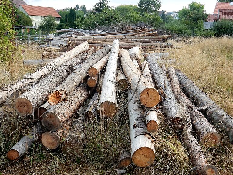 Polterholz macht viel Arbeit. Es muss aus den Wald gebracht, gesägt und gespaltet werden. Polterholz macht viel Arbeit. Es muss aus den Wald gebracht, gesägt und gespaltet werden.