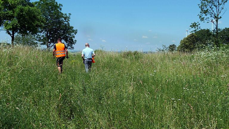 Deponiebeauftragter Andreas Gündel (links) und Betriebsleiter Alexander Pfenning vom team orange auf dem Weg über den mit einer Blühwiese angesäten Deponiekörper. In diesem Bereich blieben nur einzelne vitale Bäume stehen.