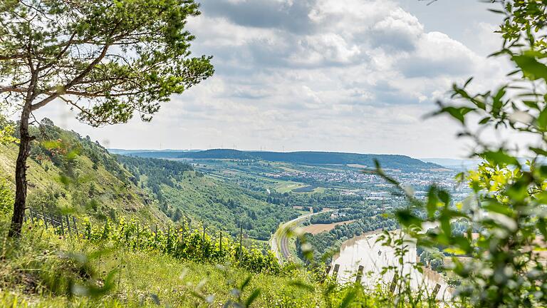 Blick von Gambach zum Edelweiß bei Karlstadt (Archivfoto)