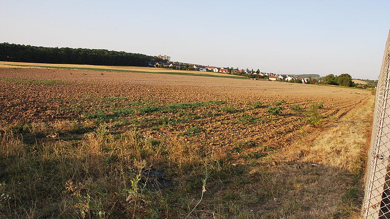 Im Frühjahr könnte in Rottendorf die Erschließung des Baugebietes zwischen Grasholz und Kreisstraße beginnen.