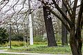 Die weißen Baumrinden im Ringpark in Würzburg werfen Fragen auf. Was steckt dahinter?
