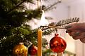 Copy%20of%20Weihnachtsbaum.tif       -  Das Aufstellen eines Weihnachtsbaums gehört immer noch zu den beliebtesten Traditionen rund um die Festtage im Advent. Doch ist dieser Brauch überhaupt mit dem Nachhaltigkeitsgedanken vereinbar?