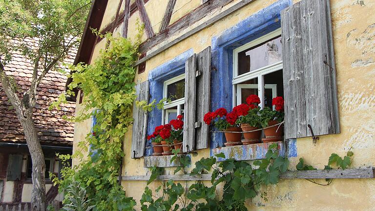 Die ländliche Bevölkerung liebte es bisweilen bunt: hier die auffallenden blauen Fensterrahmungen am Häckerhaus aus Ergersheim. Die ländliche Bevölkerung liebte es bisweilen bunt: hier die auffallenden blauen Fensterrahmungen am Häckerhaus aus Ergersheim.