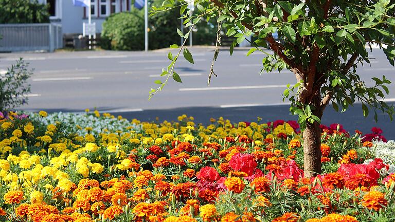 Wer die Blumen am Bad Neustädter Stadteingang betrachtet, blickt trotz heißer Temperaturen und Trockenheit auf ein buntes Farbenmeer. Wer die Blumen am Bad Neustädter Stadteingang betrachtet, blickt trotz heißer Temperaturen und Trockenheit auf ein buntes Farbenmeer.
