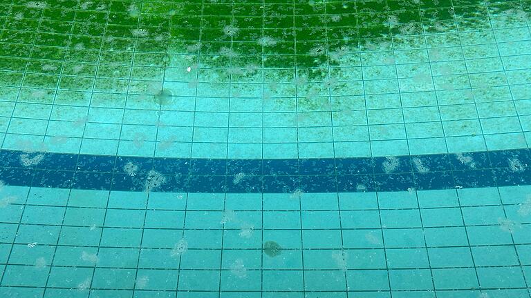 Schleimalgen, die aussehen wie Quallen, haben sich am Boden des Schwimmerbeckens festgesetzt, da das Wasser nicht gechlort wurde und still steht. Schleimalgen, die aussehen wie Quallen, haben sich am Boden des Schwimmerbeckens festgesetzt, da das Wasser nicht gechlort wurde und still steht.