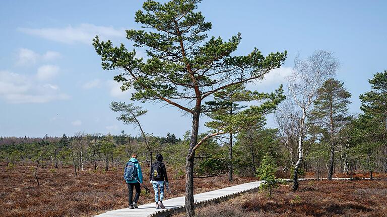 Das Schwarze Moor ist ein Anziehungspunkt für Touristen und Einheimische in der Rhön.       -  Das Schwarze Moor ist ein Anziehungspunkt für Touristen und Einheimische in der Rhön.