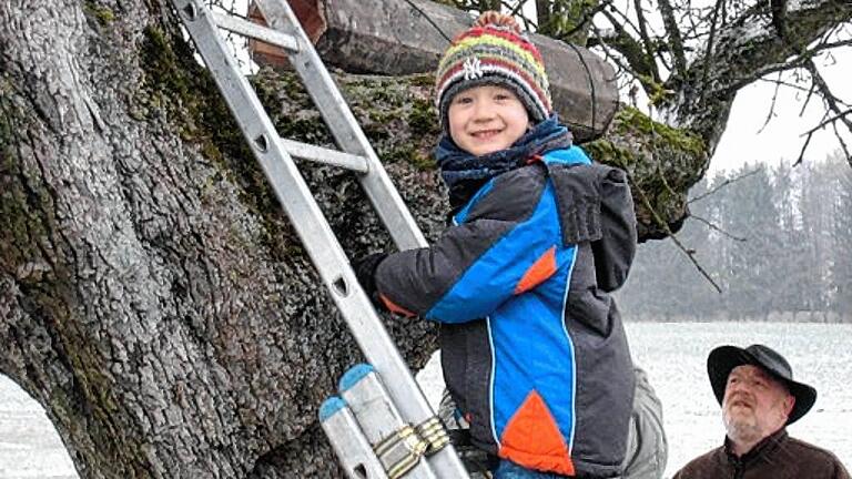 Auch der vierjährige Jungornithologe Niklas Seufert ließ es sich trotz widriger Witterungsbedingungen nicht nehmen, selbst einen Blick in eine der Steinkauznisthilfen zu nehmen. 1600 davon hat der Arbeitskreis in den letzten Jahren in der Region aufgestellt.
