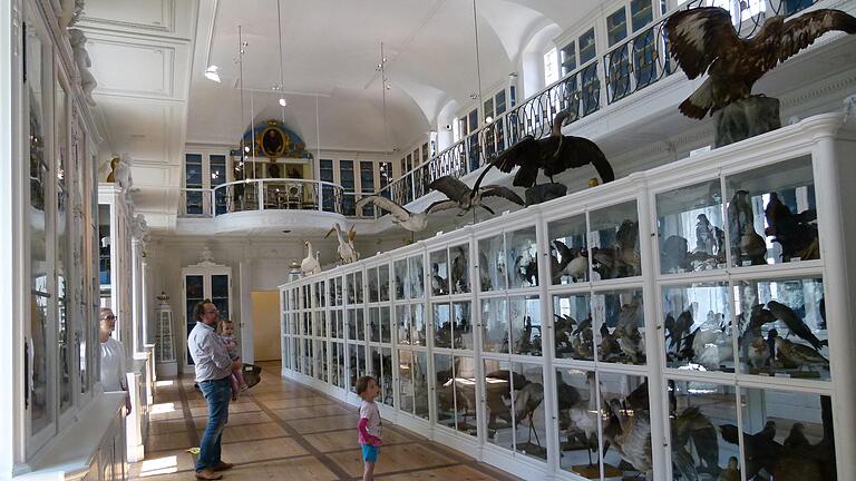 Wie alle Schauräume der Bamberger Museen muss auch der berühmte Vogelsaal im Naturkundemuseum auf unbestimmte Zeit geschlossen bleiben. Das Bild entstand 2018. Wie alle Schauräume der Bamberger Museen muss auch der berühmte Vogelsaal im Naturkundemuseum auf unbestimmte Zeit geschlossen bleiben. Das Bild entstand 2018.