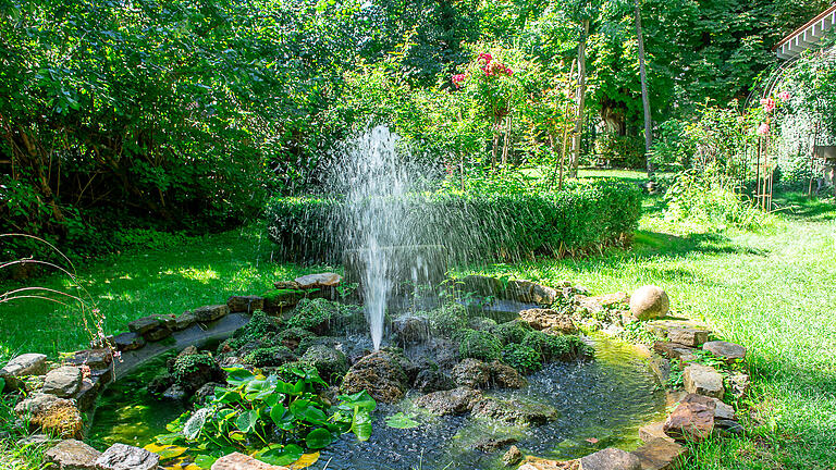 Für den verwahrlosten Schlossgarten von Wetzhausen war Henriette Dornberger ein Glücksfall. Mit ihrem gestalterischen Händchen und ihrer Ideenfülle verwandelte sie das über 3000 Quadratmeter große Areal direkt neben dem Wasserschloss in einen wunderschönen Landschaftsgarten. Am sonntag, 17. September, bietet sie angemeldeten Gästen im Rahmen der Naturgartentour eine Führung an.