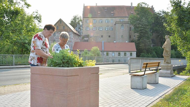 Gestalterisch im Ort aktiv: Brunhilde Hillenbrand, Kassiererin beim Heimat-, Wander- und Gartenbauverein Aschach und die Vorsitzende, Herta Müller (von links), beim Pflegen der Anlagen. Björn Hein - Gestalterisch im Ort aktiv: Brunhilde Hillenbrand, Kassiererin beim Heimat-, Wander- und Gartenbauverein Aschach und die Vorsitzende, Herta Müller (von links), beim Pflegen der Anlagen. Björn Hein Gestalterisch im Ort aktiv: Brunhilde Hillenbrand, Kassiererin beim Heimat-, Wander- und Gartenbauverein Aschach und die Vorsitzende, Herta Müller (von links), beim Pflegen der Anlagen. Björn Hein - Gestalterisch im Ort aktiv: Brunhilde Hillenbrand, Kassiererin beim Heimat-, Wander- und Gartenbauverein Aschach und die Vorsitzende, Herta Müller (von links), beim Pflegen der Anlagen. Björn Hein