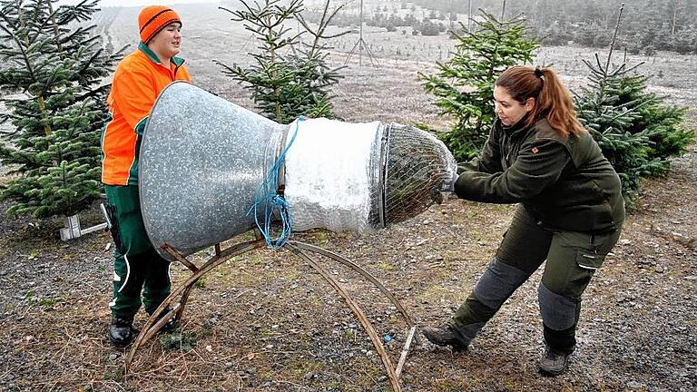 Transportfähig verpacken: Försterin Lisa Spielmann ist für Pflanzung und Verkauf zuständig.