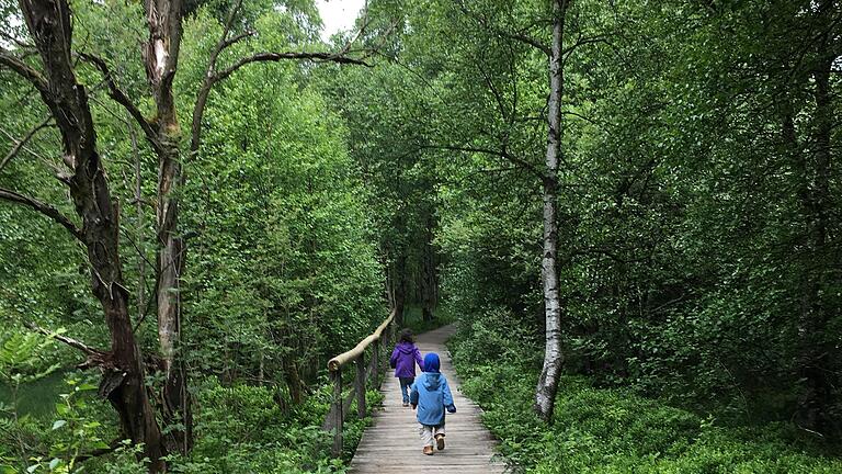 Der Holzbohlenweg motiviert auch die Kleinen zum Laufen. Im Nu ist der Birkenwald durchschritten und der Aussichtsturm erreicht. Der Holzbohlenweg motiviert auch die Kleinen zum Laufen. Im Nu ist der Birkenwald durchschritten und der Aussichtsturm erreicht.