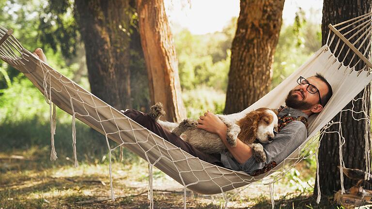 Wenn der innere Schweinehund zum Work-Life-Balance-Coach wird. Wenn der innere Schweinehund zum Work-Life-Balance-Coach wird.