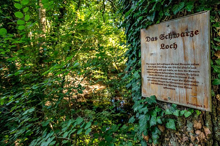 Unweit südlich des Großen Tännigweihers befindet sich das Naturdenkmal Schwarzes Loch. Laut einer Sage soll es unergründlich tief und mit einem Kessel voller Gold sein. Unweit südlich des Großen Tännigweihers befindet sich das Naturdenkmal Schwarzes Loch. Laut einer Sage soll es unergründlich tief und mit einem Kessel voller Gold sein.