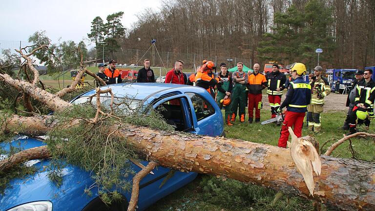 Übung mit einem Baum und einem Auto. - Übung mit einem Baum und einem Auto. Übung mit einem Baum und einem Auto. - Übung mit einem Baum und einem Auto.