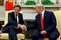 US-Präsident empfängt niederländischen Ministerpräsidenten       -  Als niederländischer Regierungschef traf Rutte Trump bereits häufiger. (Archivbild zur Illustration)