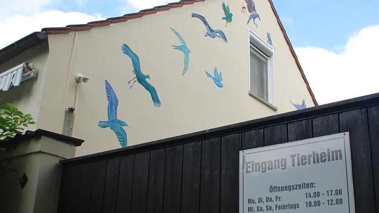 Das Kitzinger Tierheim. Das Kitzinger Tierheim.