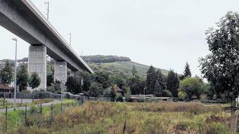 Ein weiterer Fachmarkt: Die drei bei Veitshöchheim 2010 fertigstellten Fachmärkte an der Pont-l'Eveque-Allee gegenüber der Bahnbrücke sollen um einen Rossmann-Drogeriemarkt erweitert werden. Das Gebäude mit einer Verkaufsfläche von 750 Quadratmeter und 120 Quadratmeter Nebenräumen wird von der Zufahrt zu den Märkten entlang dem Rad- und Fußweg bis Höhe der nordöstlichen Ecke des Rewe-Marktes verlaufen.Foto: Dieter Gürz Ein weiterer Fachmarkt: Die drei bei Veitshöchheim 2010 fertigstellten Fachmärkte an der Pont-l'Eveque-Allee gegenüber der Bahnbrücke sollen um einen Rossmann-Drogeriemarkt erweitert werden. Das Gebäude mit einer Verkaufsfläche von 750 Quadratmeter und 120 Quadratmeter Nebenräumen wird von der Zufahrt zu den Märkten entlang dem Rad- und Fußweg bis Höhe der nordöstlichen Ecke des Rewe-Marktes verlaufen.Foto: Dieter Gürz