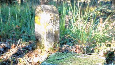 Dieser Jagdstein und dahinter ein Poststein markieren schon seit Jahrhunderten die Grenze zu Thüringen.