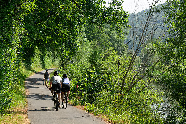 Besonderisch malerisch wird es auf den letzten Kilometern vor Gemünden. Hier führt der Radweg ganz dicht entlang am Ufer der Fränkischen Saale. Besonderisch malerisch wird es auf den letzten Kilometern vor Gemünden. Hier führt der Radweg ganz dicht entlang am Ufer der Fränkischen Saale.