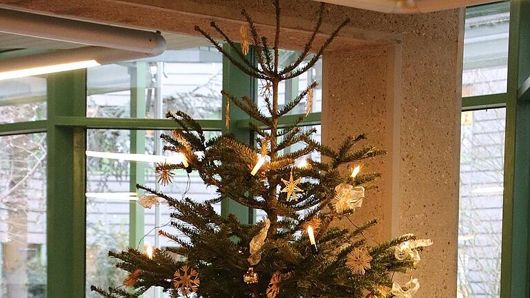 Die Weihnachtsdeko in der Klinik Land soll über die Feiertage für Stimmung sorgen. Die Weihnachtsdeko in der Klinik Land soll über die Feiertage für Stimmung sorgen.