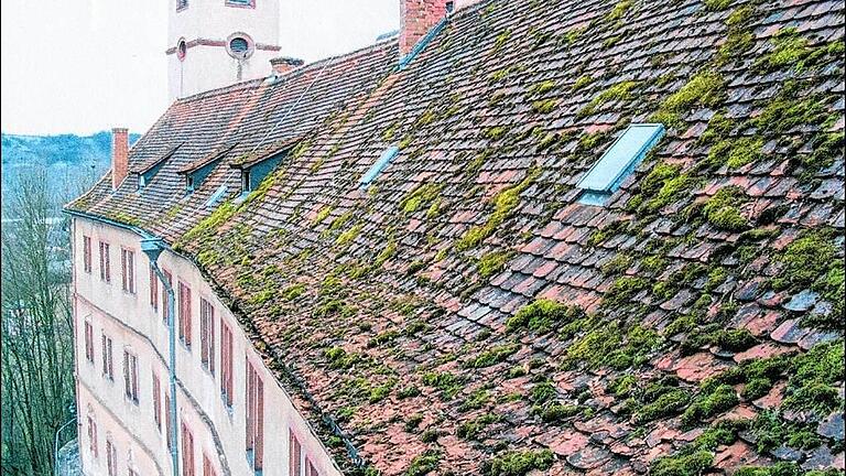 Marode und moosbewachsen: das Dach vor der Sanierung. Marode und moosbewachsen: das Dach vor der Sanierung.