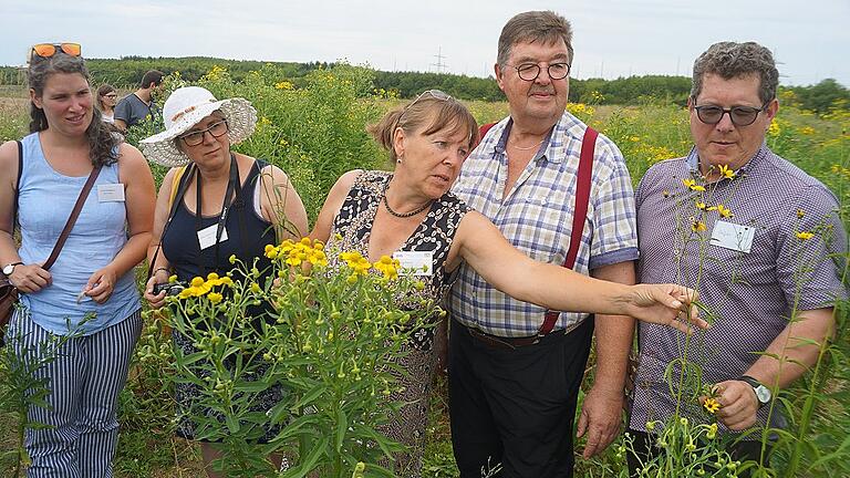 Experten unter sich: (von links) Anne Wischemann (Lebensraumberaterin, Amt für Ernährung, Landwirtschaft und Forsten Karlstadt), Annette Seehaus-Arnold (Deutscher Berufs- und Erwerbsimkerbund), Kornelia Marzini (Mitarbeiterin LWG), Peter Maske (Präsident Deutscher Imkerbund) und Stefan Köhler (Bayerischer Bauernverband).