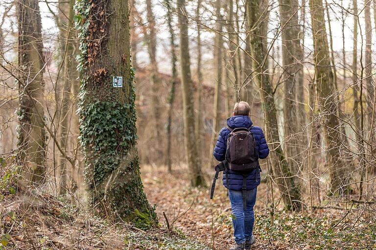 Die Tour führt immer mal wieder durch den Wald und am Waldrand entlang. Die Tour führt immer mal wieder durch den Wald und am Waldrand entlang. 