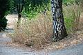 Seit Wochen hat es im Raum Schweinfurt nicht mehr geregnet. Die Trockenheit kann auch gefährlich werden, wenn dürres Gras oder Bäume in Brand geraten. Experten raten jetzt zu besonderer Vorsicht.