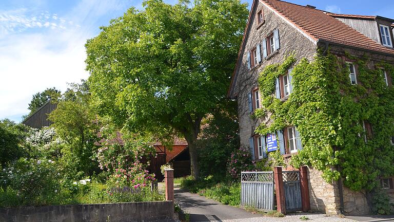 Dieser schöne Hofbaum in Billingshausen gewann den 1. Preis im Wettbewerb zum Landkreisjubiläum. Dieser schöne Hofbaum in Billingshausen gewann den 1. Preis im Wettbewerb zum Landkreisjubiläum.