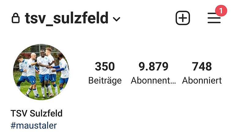 Das Instagram-Profil des TSV Sulzfeld. Der Verein hat in dem Sozialen Netzwerk knapp 10 000 Follower. Das Instagram-Profil des TSV Sulzfeld. Der Verein hat in dem Sozialen Netzwerk knapp 10 000 Follower.