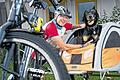 Ein Team,: Helmut Bergup und mit Hündin Frieda aus Rimpar waren mit Rad und Anhänger gemeinsam unterwegs &ndash; in sechs Wochen von Würzburg bis nach Santiago die Compostela.Foto: D. Peter