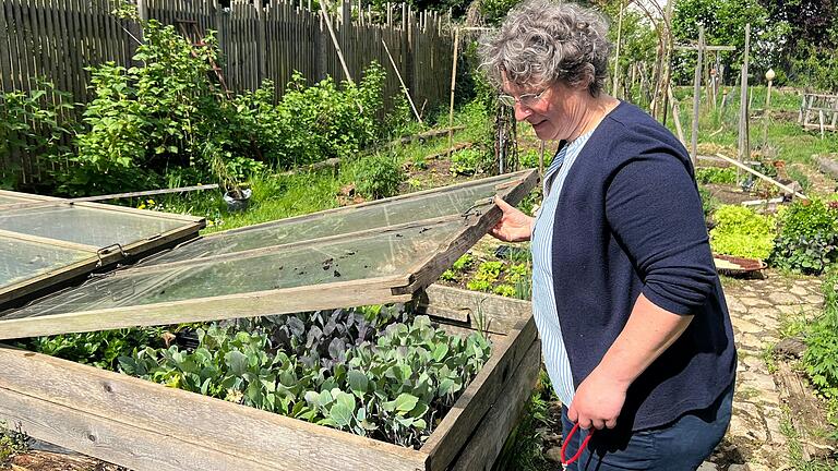 Christina Fallenbacher blickt auf die Anzucht der Erstbepflanzung. Gemeinsam mit ihrem Mann hat sie in Kleinmünster in Kooperation mit Tegut einen Saisongarten in Betrieb genommen. Christina Fallenbacher blickt auf die Anzucht der Erstbepflanzung. Gemeinsam mit ihrem Mann hat sie in Kleinmünster in Kooperation mit Tegut einen Saisongarten in Betrieb genommen.