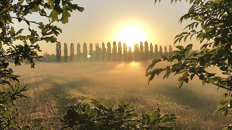 Sonnenaufgang bei Stadtschwarzach: In insgesamt neun Nächten im Juni fiel die Temperatur nicht unter 15 Grad. Sonnenaufgang bei Stadtschwarzach: In insgesamt neun Nächten im Juni fiel die Temperatur nicht unter 15 Grad.