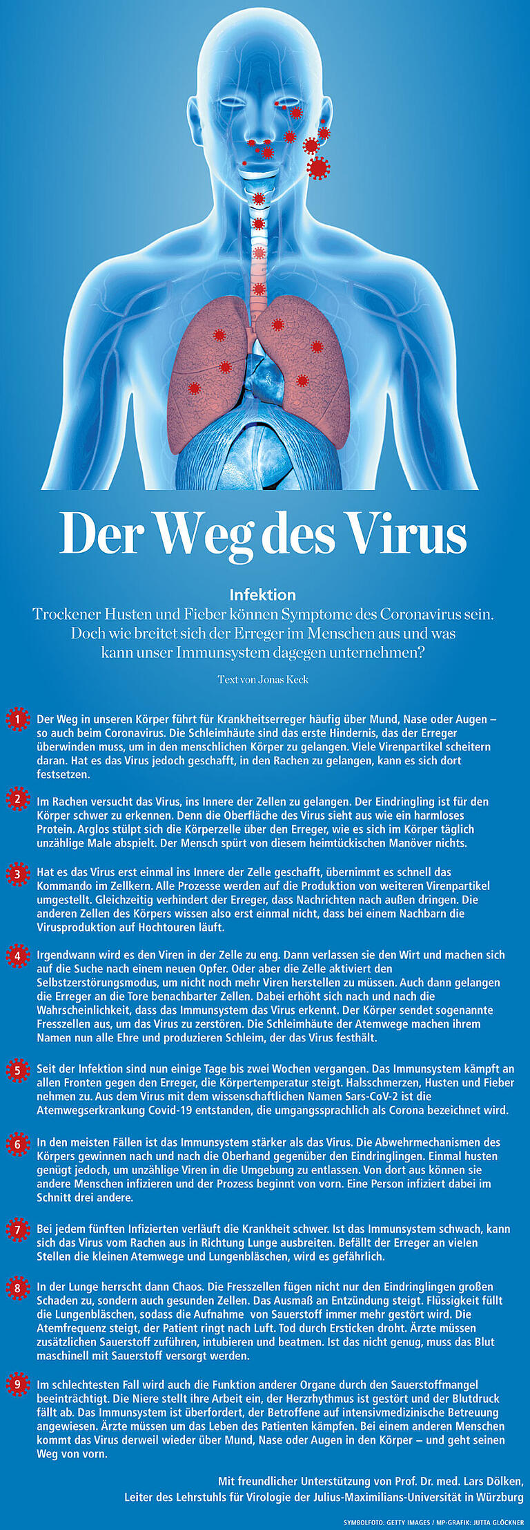 Der Weg des Virus: So breitet sich Corona im Körper aus