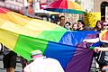 Die Regenbogenflagge ist ein Symbol für Toleranz und gegen die Diskriminierung wie hier beim&nbsp; Christopher Street Day (CSD) in der Würzburger Innenstadt im Jahr 2015. Dieses Jahr setzt die Stadt Würzburg noch ein deutlicheres Zeichen.