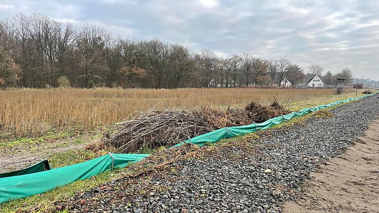 Auf dieser Fläche neben der Staatsstraße von Kitzingen nach Großlangheim soll das neue Tierheim entstehen.