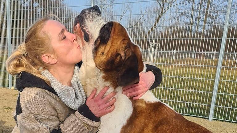 Mit Tierheimleiterin Britta Merkel versteht sich der Bernhardiner 'Mäuschen' gut. Doch eine Vermittlung des Hundes gestaltet sich schwierig. Hilfe kommt durch eine Fernsehsendung mit dem bekannten Hundetrainer Martin Rütter.